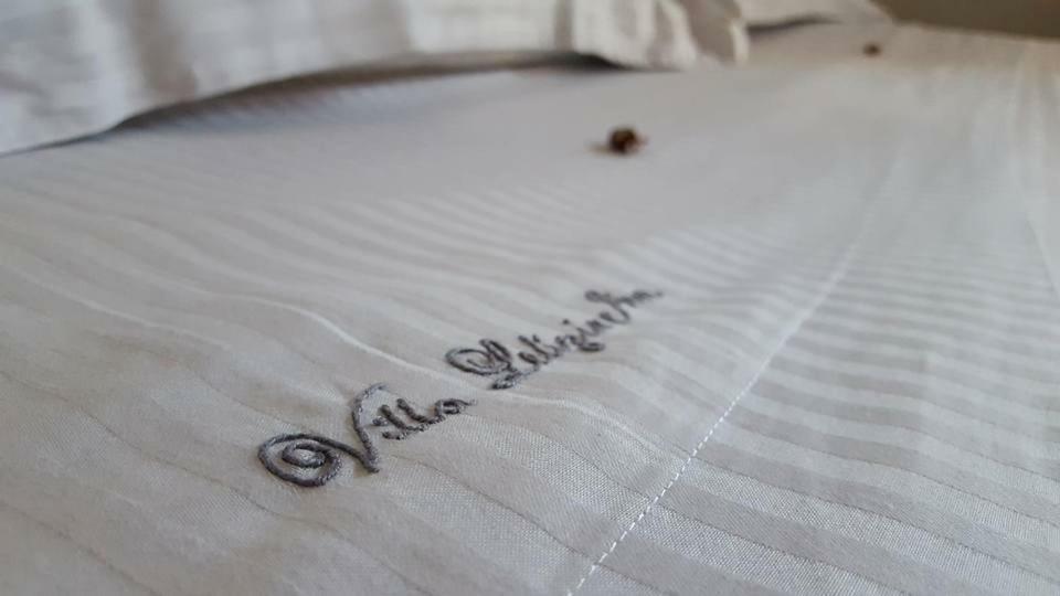 B&B Villa Letizia Inn 卡斯特布奥诺 外观 照片
